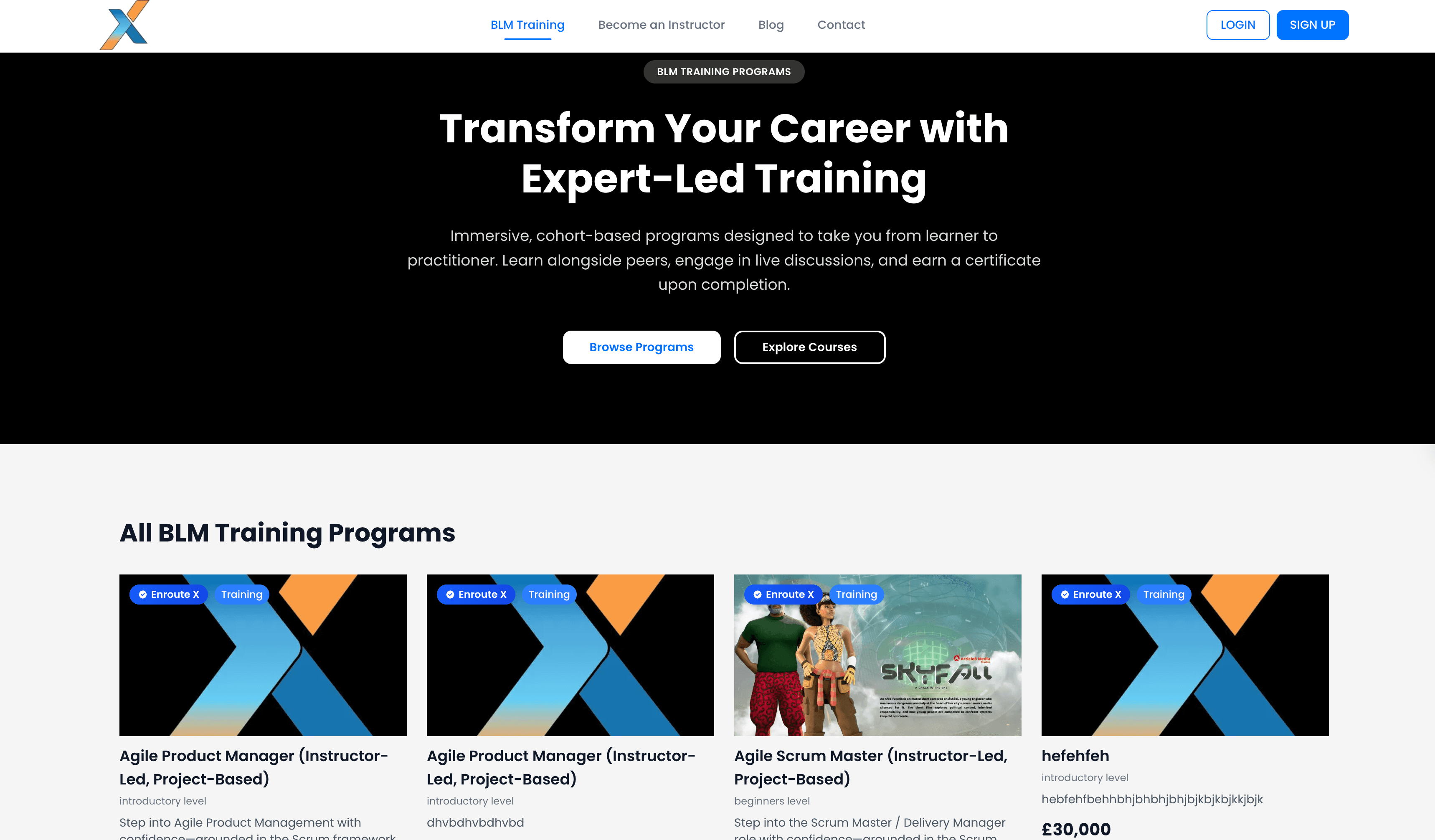 Xlearn Web Gallery Image 1